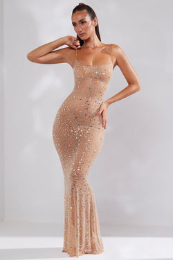 Sheer Embellished Scoop Neck Evening Gown in Almond